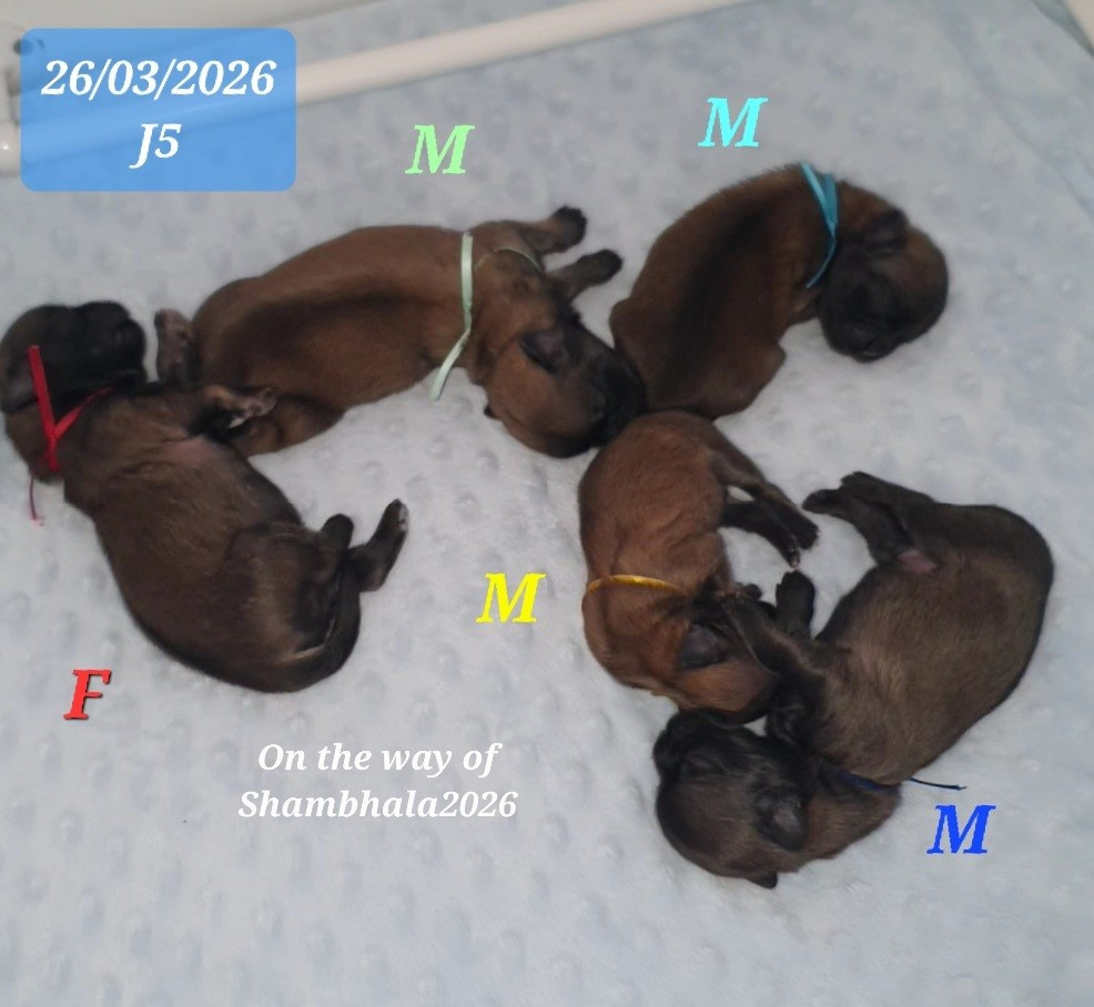 LES PETITS BONHEURS SONT ARRIVÉS !